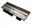 Citizen Printhead (JN09804-0)