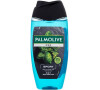 Sprchový gel Palmolive Men Sport, 250 ml