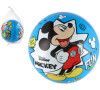 Teddies Míč Mickey Mouse nafouknutý 23cm v síťce