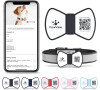 PawView chytrá známka pro psy pánský motýlek - Modrá