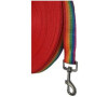 Vodítko DINOFASHION stopovací Rainbow 10m/2,5cm