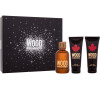 Toaletní voda Dsquared2 Wood, 100 ml
