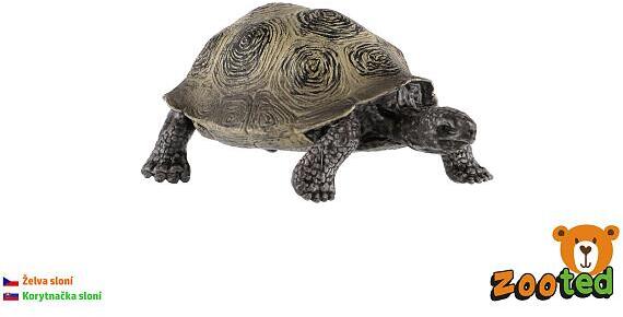 Želva sloní zooted plast 8cm