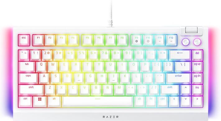 BlackWidow V4 75% - White Ed. US Layout