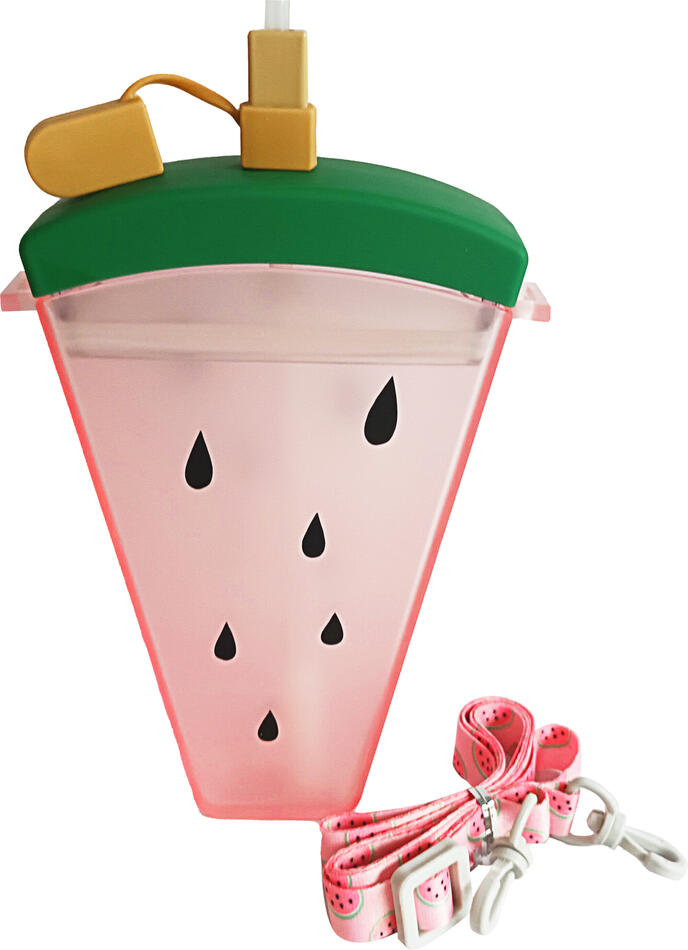 Lahev na pití s brčkem a popruhem TORO 320ml meloun