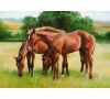 Puzzle Ravensburger Koně v trávě1500d
