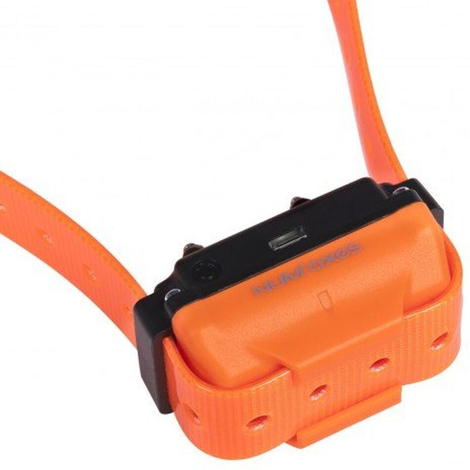 Canicom R-500 - pro 1 psa Num Axes