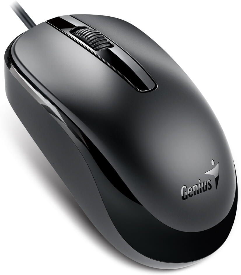GENIUS DX-120/ drátová/ 1200 dpi/ USB-C/ černá (31010029401)