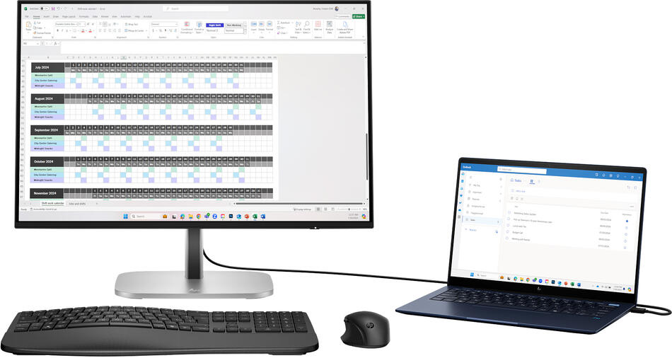 LCD monitor HP 24 524pn