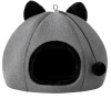 Reedog Iglú Kitty Head Grafit - S