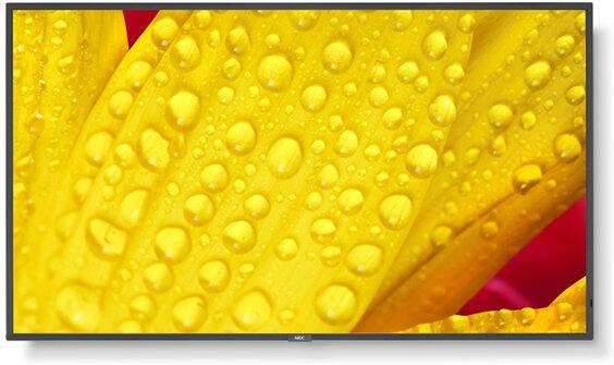 NEC 65" velkoformátový display MultiSync M651-2 - 24/7, 500 cd, IPS LED, 3840x2160, 16:9, 6ms, 8000:1, DP, 2xHDMI, USB (60006086)