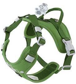 Postroj Hurtta Weekend Warrior II petrželov 75-100