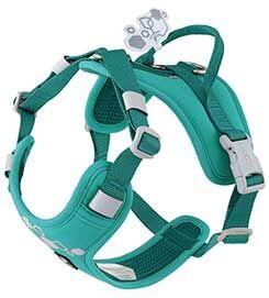 Postroj Hurtta Weekend Warrior II ECO paví zeleň 40-50