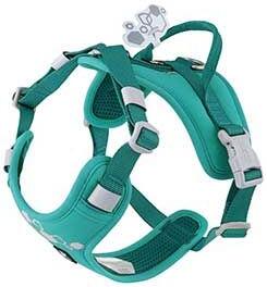 Postroj Hurtta Weekend Warrior II ECO paví zeleň 55-70