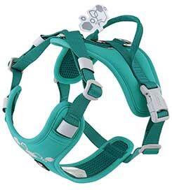 Postroj Hurtta Weekend Warrior II paví zele 75-100