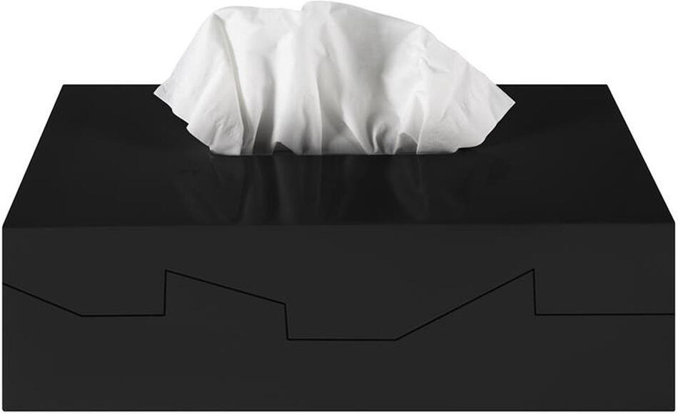 Box na kapesníky SPIRELLA SILHOUETTE, černý