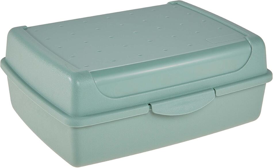 Keeeper plastový svačinový box 17x13x7cm severská zelená