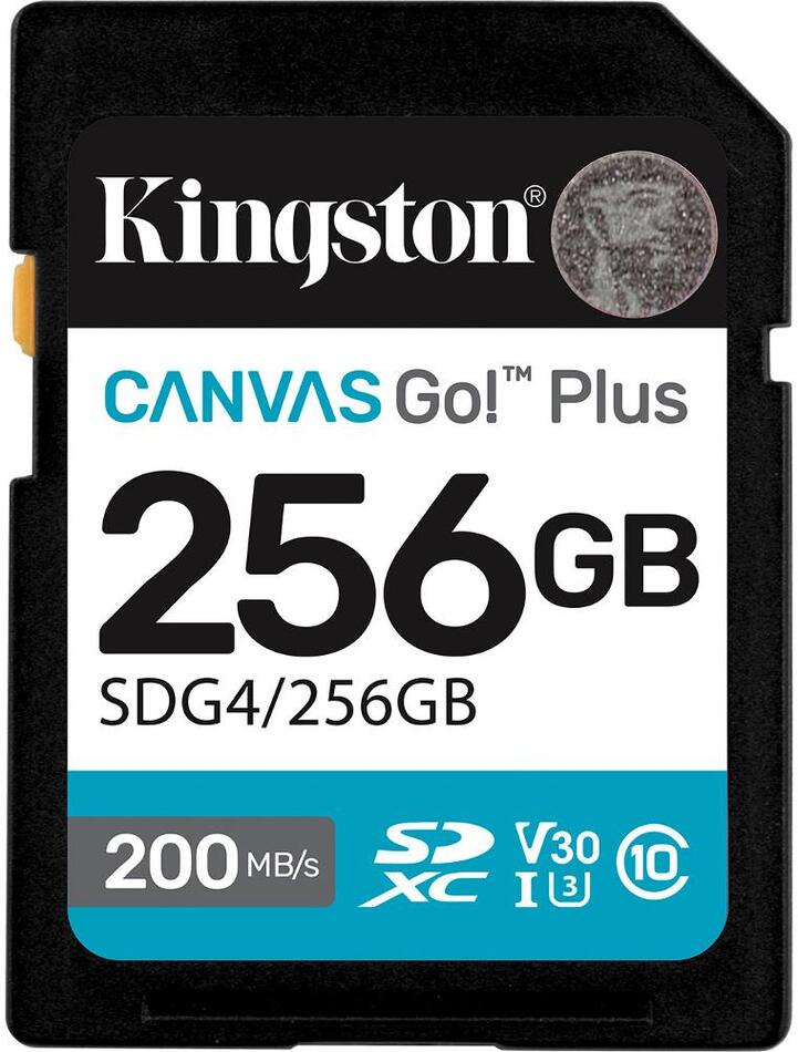 Paměťová karta Kingston SDG4/256GB