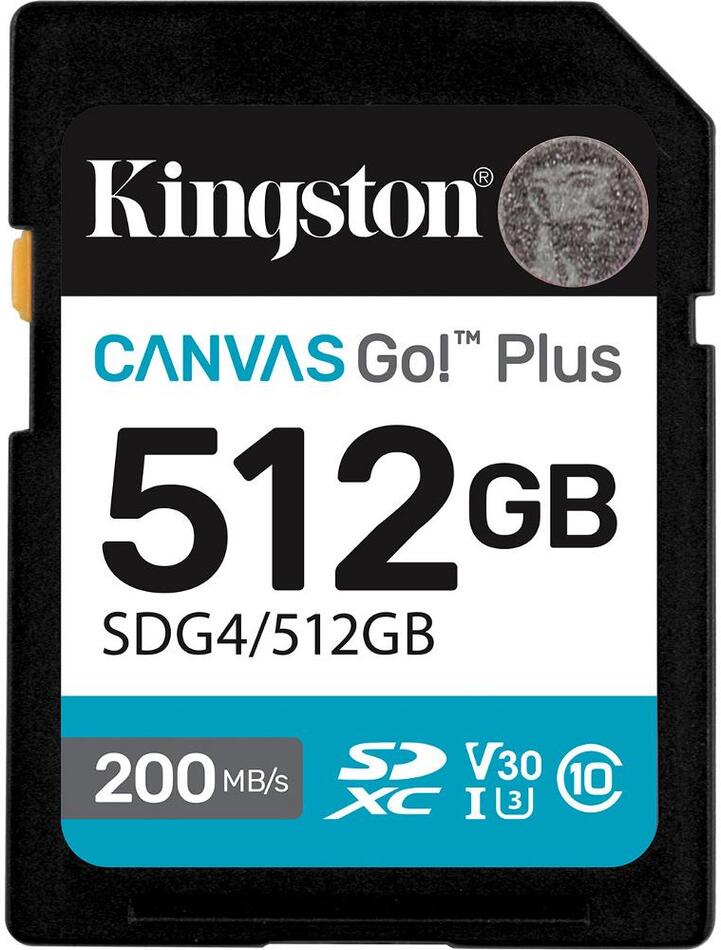 Paměťová karta Kingston SDG4/512GB
