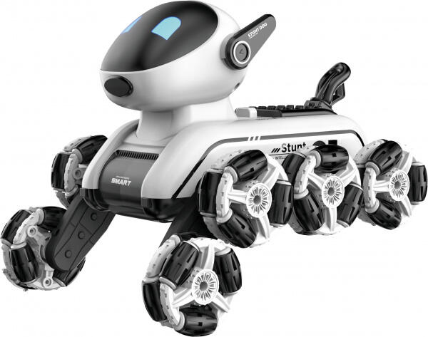 RoboDog Fleg