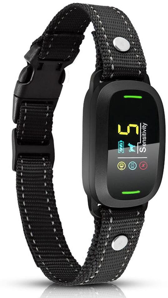 Reedog S1