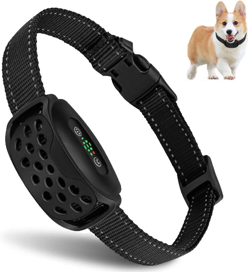 Reedog V2