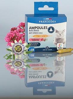 Francodex Anti-stress ampulky kočka, kotě 18x1ml