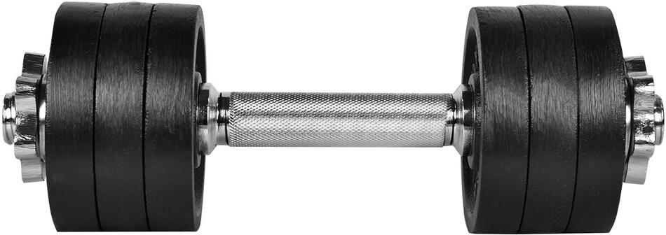 Činka nakládací RULYT® Angular jednoruční 11 kg, 30mm tyč/6x kotouč