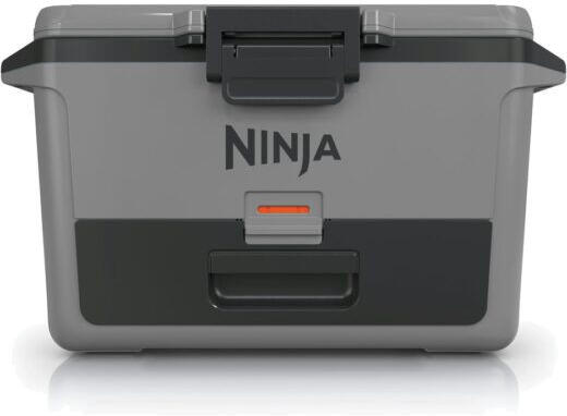 Ninja FB151EUGY Frost Vault 47l
