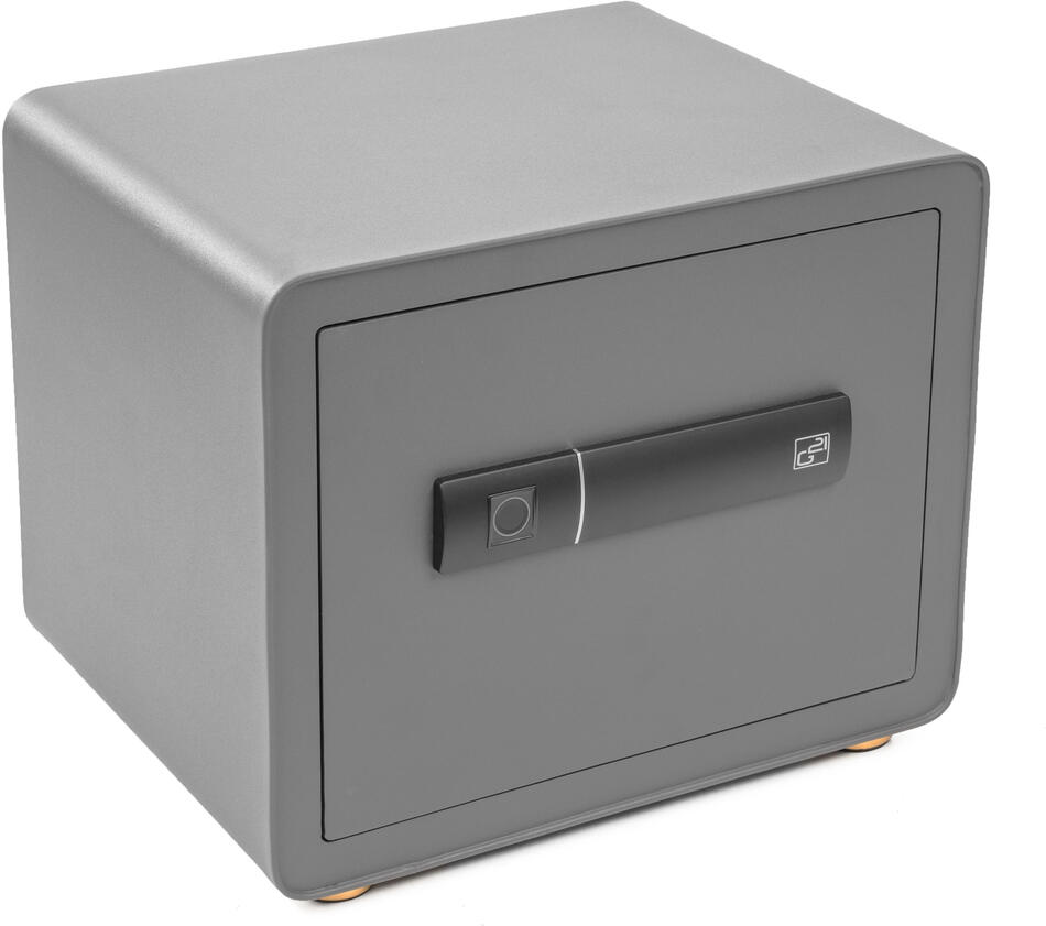 Trezor G21 na otisk prstu 380 x 310 x 300 mm