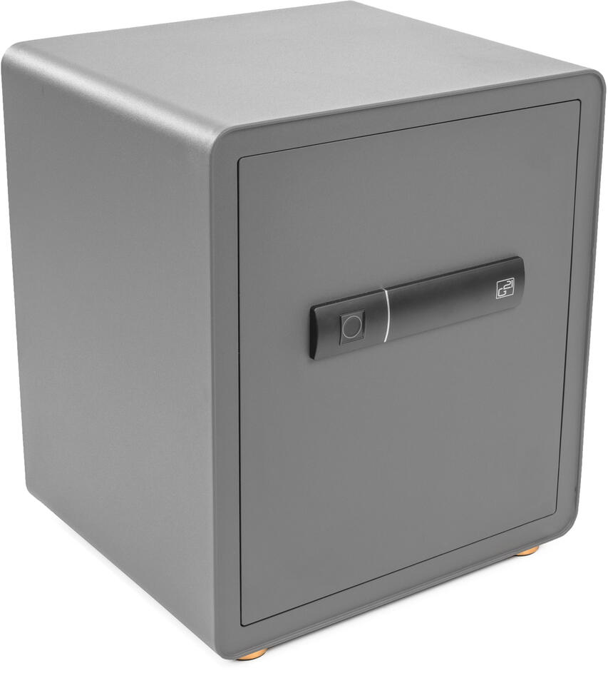 Trezor G21 na otisk prstu 400 x 450 x 350 mm