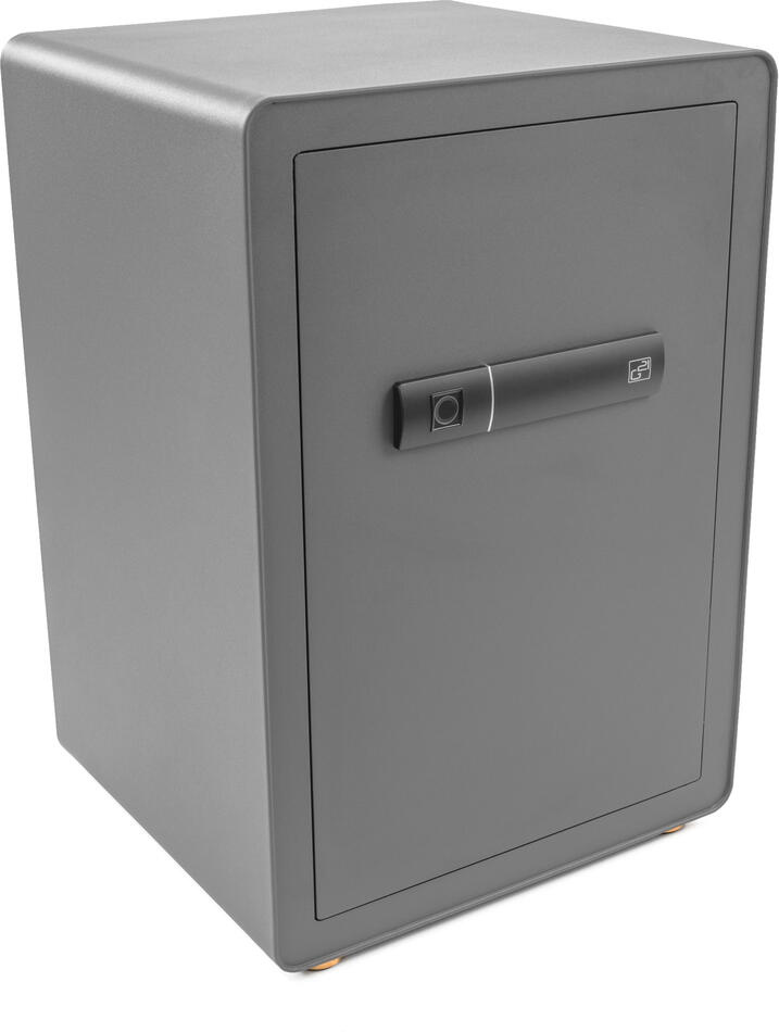 Trezor G21 na otisk prstu 420 x 600 x 380 mm