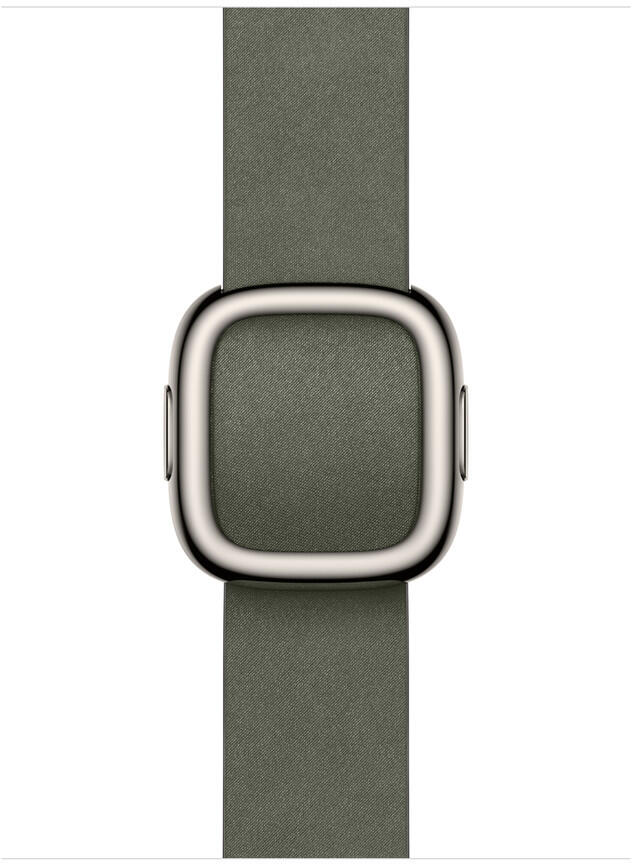 Apple watch Acc/42/Sage Gray Modern Buckle - L (MGGC4ZM/A)