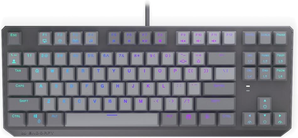 Endorfy mechanická klávesnice Thock V2 TKL / drátová / ARGB / red sw. / USB / US layout (EY5A126)