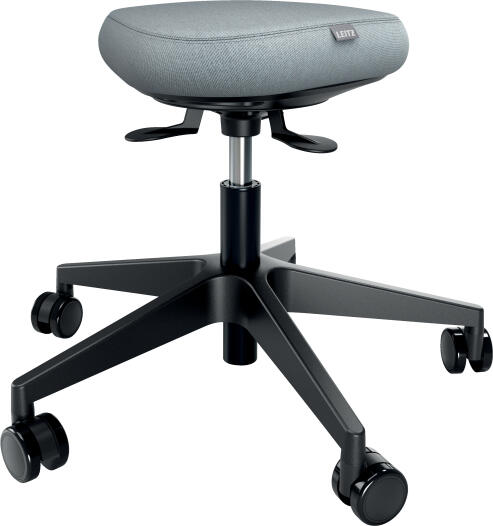 Leitz ergonomická balanční židle pro sezení s kolečky Ergo (65770095)