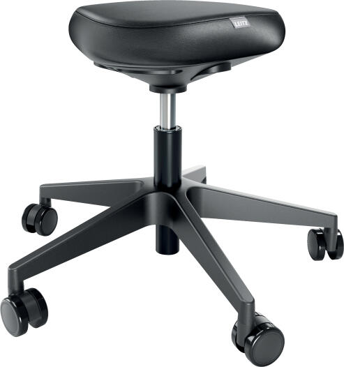 Leitz ergonomická židle pro sezení s kolečky Ergo (65780095)