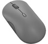Lenovo 350 Bluetooth Silent Mouse (Luna Grey) (GY51S61904)