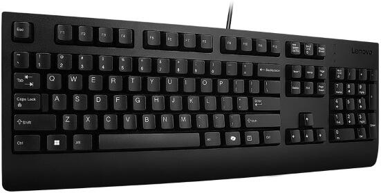 Lenovo Essential/Drátové USB-A/CZ/Černá (4Y41R64622)