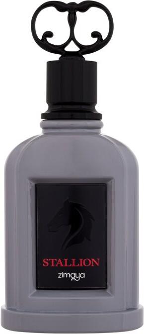 Parfémovaná voda Zimaya Stallion, 100 ml