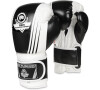 Boxerské rukavice DBX BUSHIDO B-2v3A