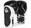 Boxerské rukavice DBX BUSHIDO BB5