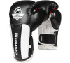 Boxerské rukavice DBX BUSHIDO B-3W