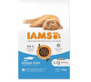Iams Cat Kitten Ocean Fish 10kg