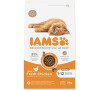 Iams Cat Kitten Chicken 3kg