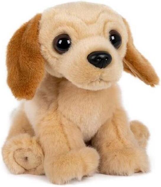 Teddies Pes labrador sedící plyš 15x17cm 0m+