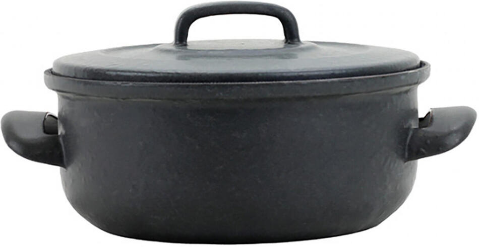 SFINX kastrol + poklice BSE 20cm 2,0l