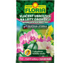 ubrousek vlhčený na listy orchidejí+pok.rostlin 6g FLORIA