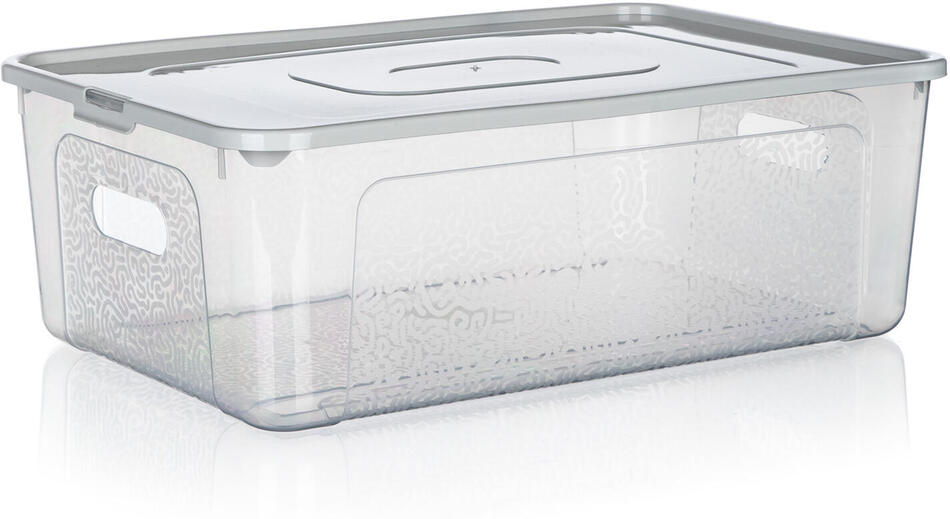 BRILANZ box úložný MULTIBOX 11l, 39x26x13cm, víko, klip, PH