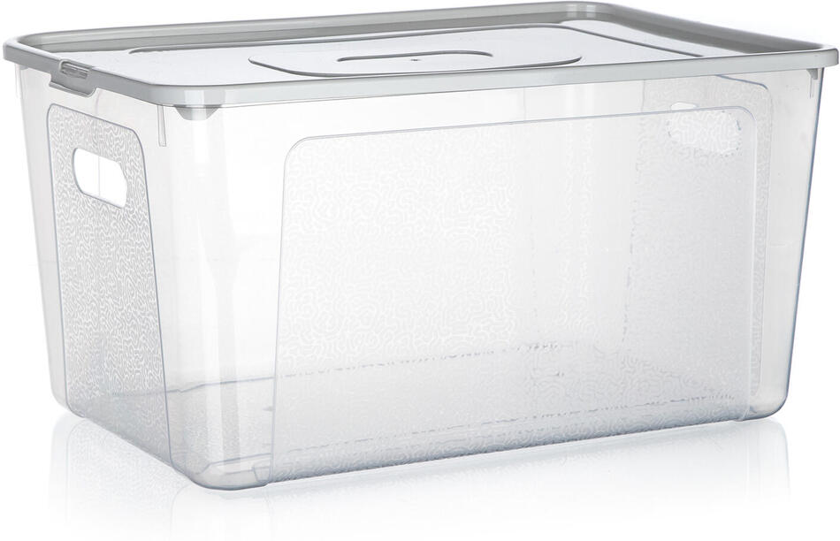 BRILANZ box úložný MULTIBOX 17l, 39x26x20,5cm, víko, klip, PH