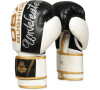 Boxerské rukavice DBX BUSHIDO B-2v16